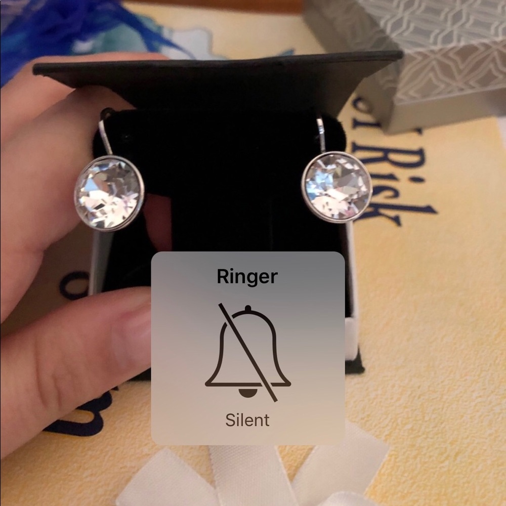 Large round bella swavorski crystal earrings